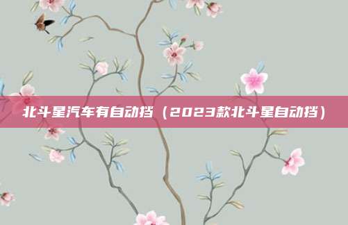 北斗星汽车有自动挡（2023款北斗星自动挡）