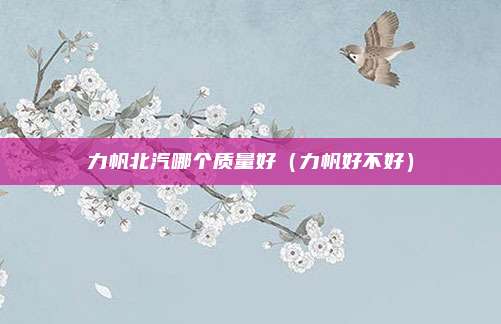力帆北汽哪个质量好（力帆好不好）