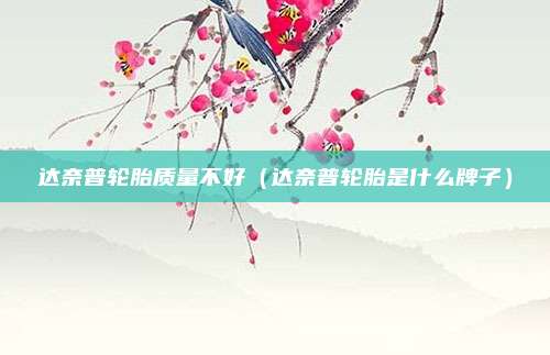 达奈普轮胎质量不好（达奈普轮胎是什么牌子）
