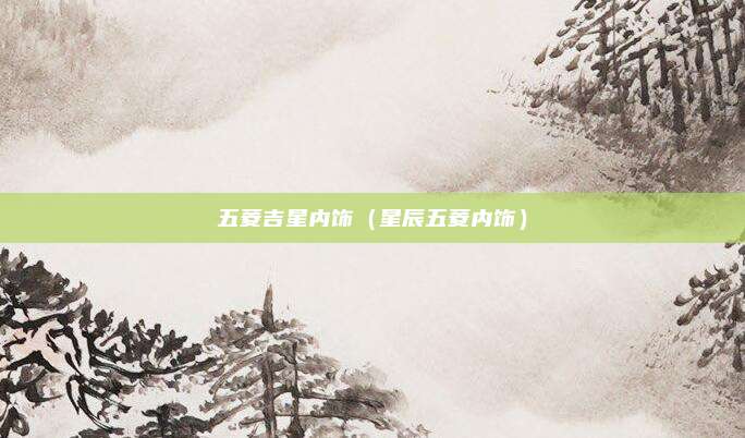 五菱吉星内饰（星辰五菱内饰）