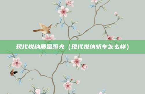 现代悦纳质量曝光（现代悦纳轿车怎么样）