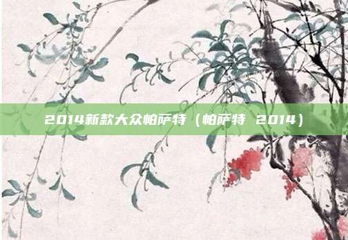 2014新款大众帕萨特（帕萨特 2014）