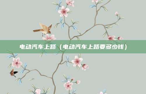 电动汽车上路（电动汽车上路要多少钱）