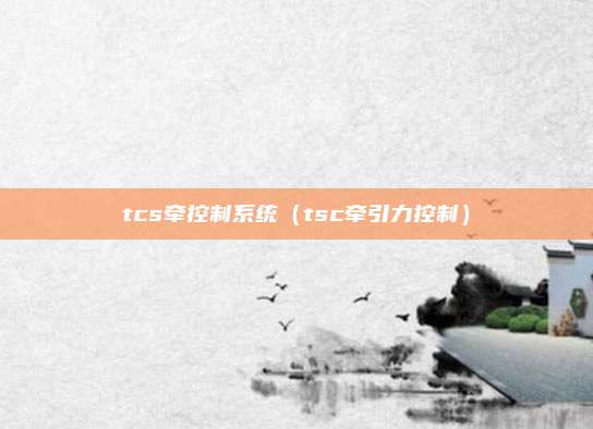 tcs牵控制系统（tsc牵引力控制）