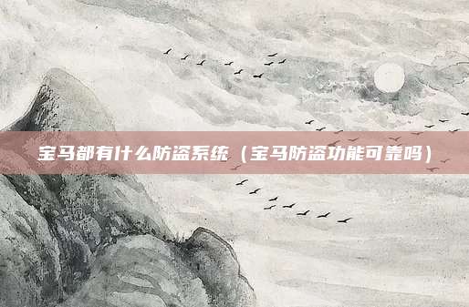 宝马都有什么防盗系统（宝马防盗功能可靠吗）