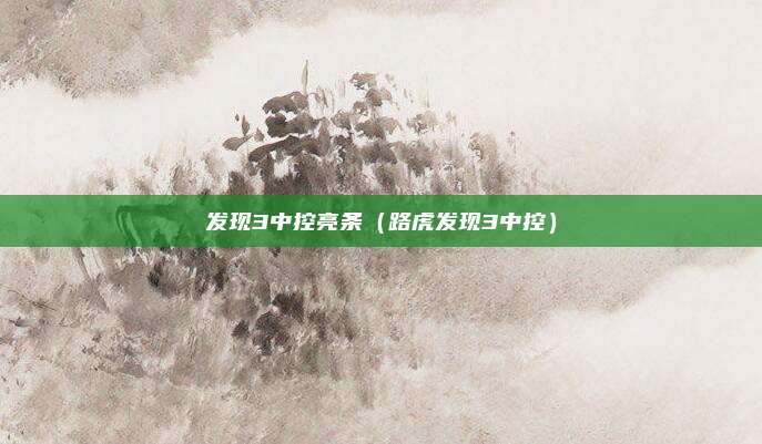 发现3中控亮条（路虎发现3中控）