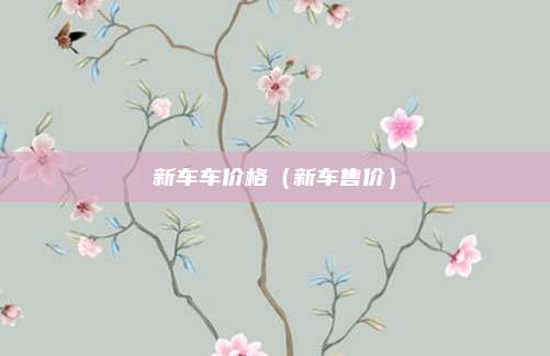 新车车价格(新车售价)