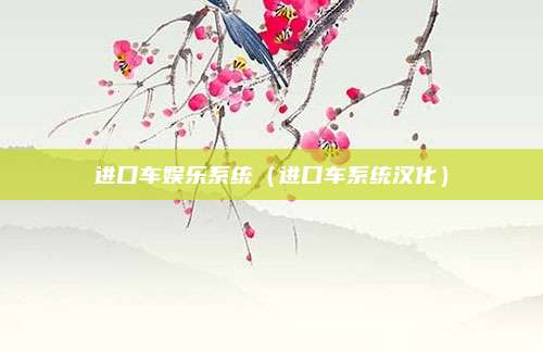 进口车娱乐系统（进口车系统汉化）