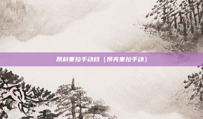 昂科塞拉手动档（昂克塞拉手动）