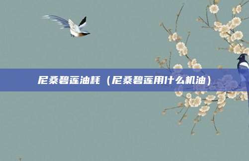 尼桑碧莲油耗（尼桑碧莲用什么机油）