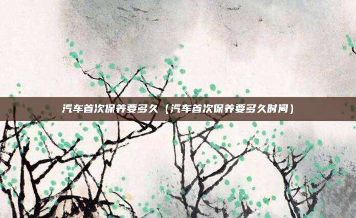 汽车首次保养要多久(汽车首次保养要多久时间)