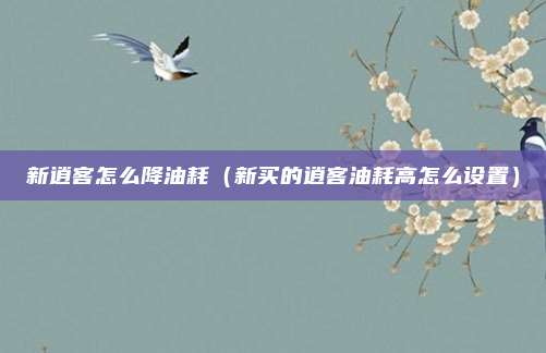 新逍客怎么降油耗（新买的逍客油耗高怎么设置）