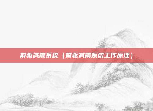 前驱减震系统(前驱减震系统工作原理)