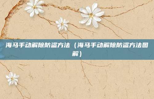 海马手动解除防盗方法（海马手动解除防盗方法图解）
