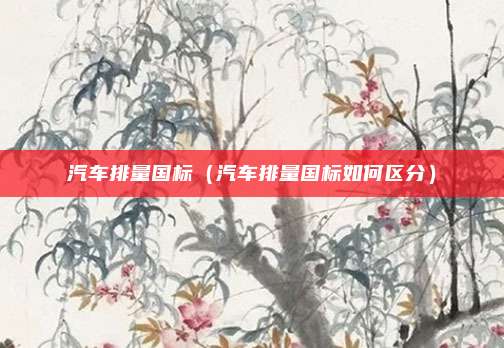 汽车排量国标（汽车排量国标如何区分）