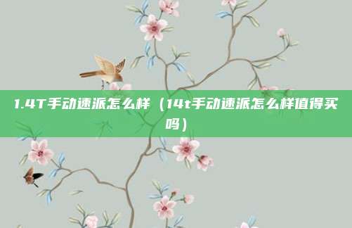 1.4T手动速派怎么样（14t手动速派怎么样值得买吗）