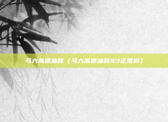 马六高速油耗（马六高速油耗93正常吗）