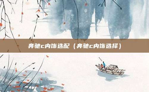 奔驰c内饰选配（奔驰c内饰选择）