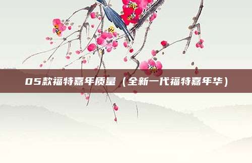 05款福特嘉年质量（全新一代福特嘉年华）