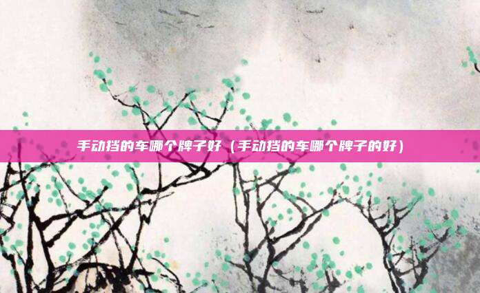 手动挡的车哪个牌子好（手动挡的车哪个牌子的好）