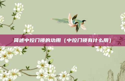 简述中控门锁的功用(中控门锁有什么用)