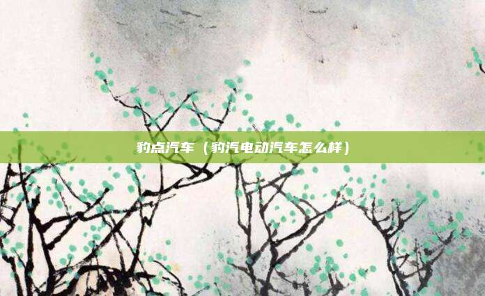 豹点汽车（豹汽电动汽车怎么样）