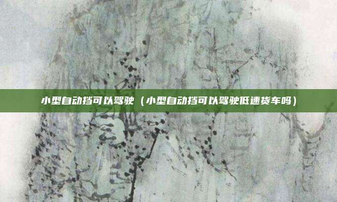 小型自动挡可以驾驶（小型自动挡可以驾驶低速货车吗）