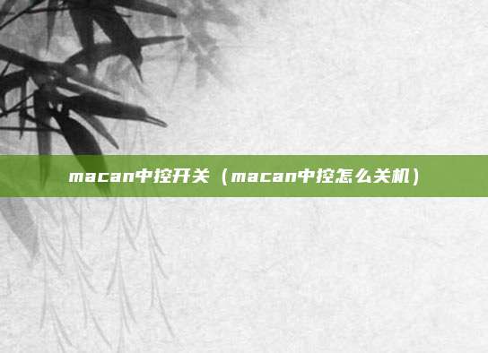 macan中控开关（macan中控怎么关机）