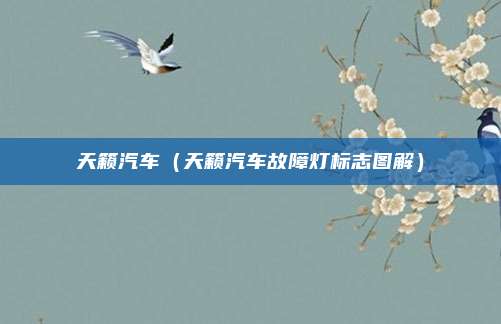 天籁汽车（天籁汽车故障灯标志图解）