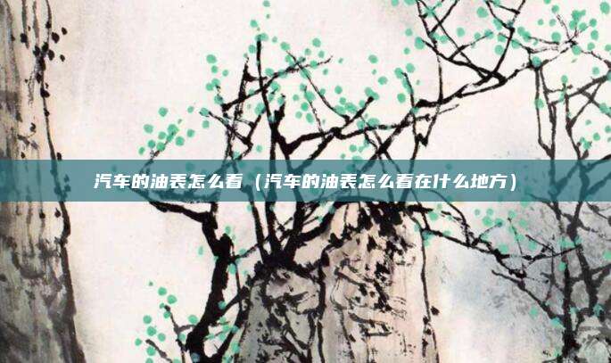 汽车的油表怎么看（汽车的油表怎么看在什么地方）