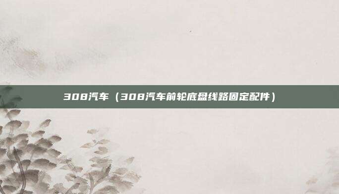 308汽车（308汽车前轮底盘线路固定配件）