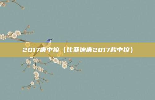 2017唐中控（比亚迪唐2017款中控）
