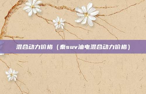 混合动力价格（秦suv油电混合动力价格）