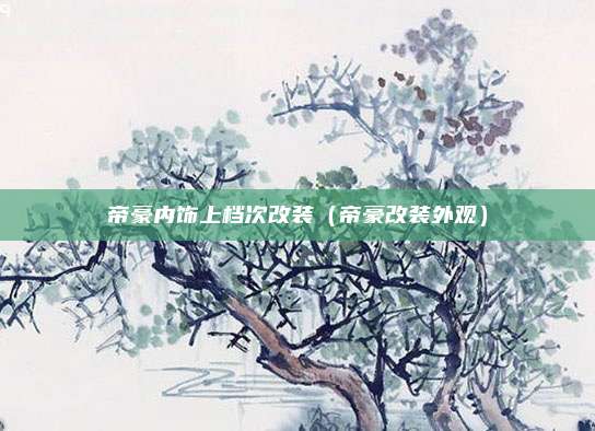 帝豪内饰上档次改装（帝豪改装外观）