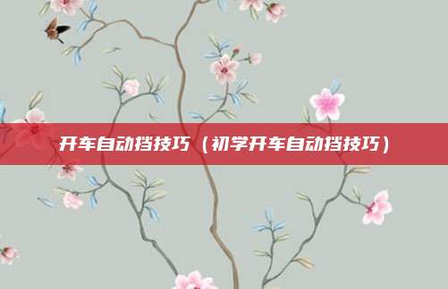 开车自动挡技巧（初学开车自动挡技巧）