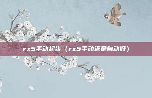 rx5手动起步（rx5手动还是自动好）