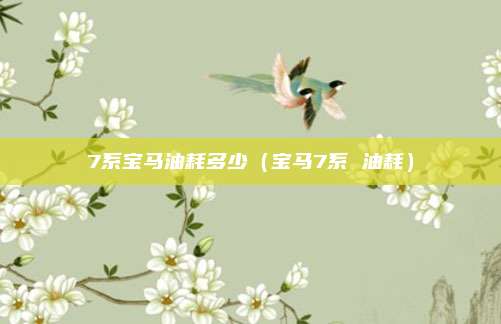 7系宝马油耗多少（宝马7系 油耗）
