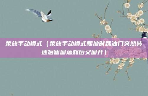 荣放手动模式（荣放手动模式爬坡时踩油门突然转速短暂回落然后又回升）