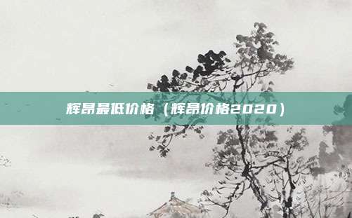 辉昂最低价格（辉昂价格2020）