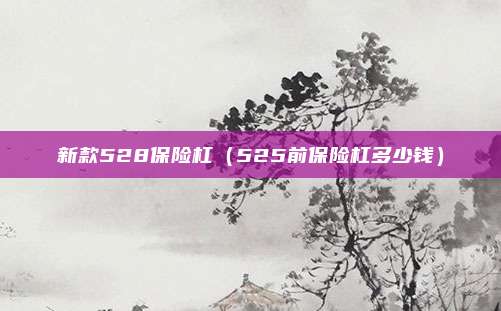 新款528保险杠(525前保险杠多少钱)