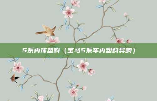5系内饰塑料(宝马5系车内塑料异响)