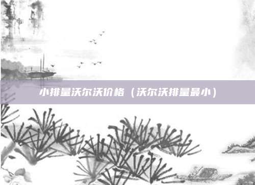 小排量沃尔沃价格（沃尔沃排量最小）