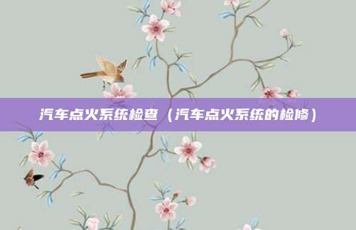 汽车点火系统检查（汽车点火系统的检修）