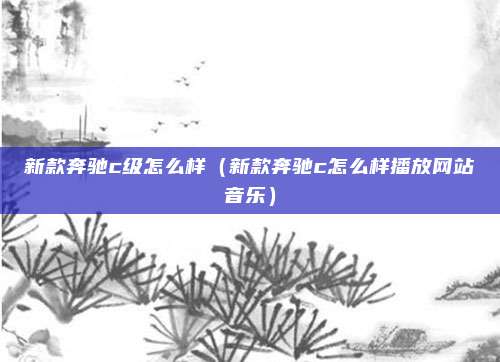 新款奔驰c级怎么样(新款奔驰c怎么样播放网站音乐)