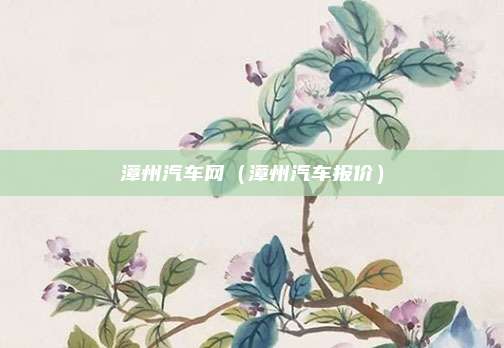 漳州汽车网(漳州汽车报价)
