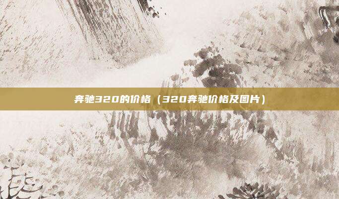 奔驰320的价格(320奔驰价格及图片)