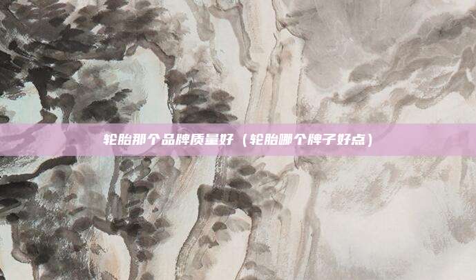 轮胎那个品牌质量好(轮胎哪个牌子好点)
