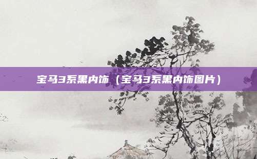 宝马3系黑内饰(宝马3系黑内饰图片)