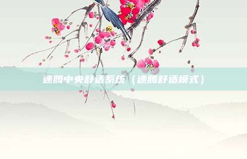 速腾中央舒适系统（速腾舒适模式）