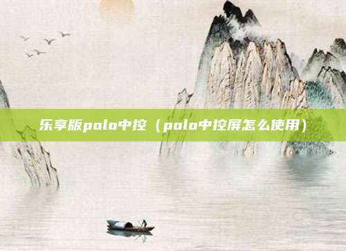 乐享版polo中控（polo中控屏怎么使用）